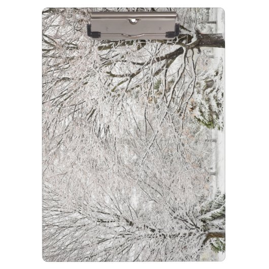 雪の多い冬の森 クリップボード (正面)