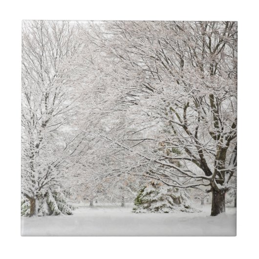 雪の多い冬の森 タイル (正面)