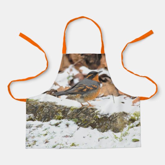 雪の多い大地を楽しめる、美しい多彩なスリッシュ エプロン (正面)