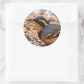 雪の多い大地を楽しめる、美しい多彩なスリッシュ ラウンドシール (バッグ)