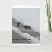 雪の多い常緑樹のスズメ カード (裏面)