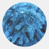 雪の多い森のトウヒ ラウンドシール (正面)