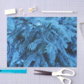 雪の多い森のトウヒ 薄葉紙 (クラフト)