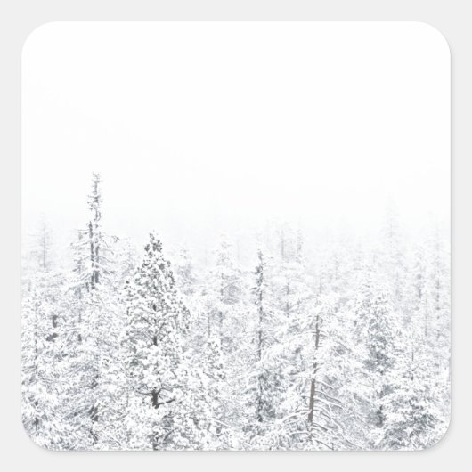 雪の多い森 スクエアシール (正面)