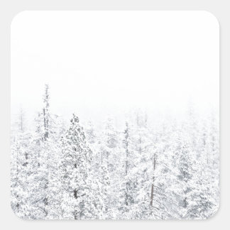 雪の多い森 スクエアシール