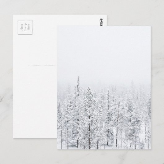 雪の多い森 ポストカード (正面/裏面)