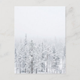 雪の多い森 ポストカード