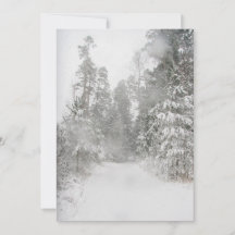 雪の多い美しい冬の風景