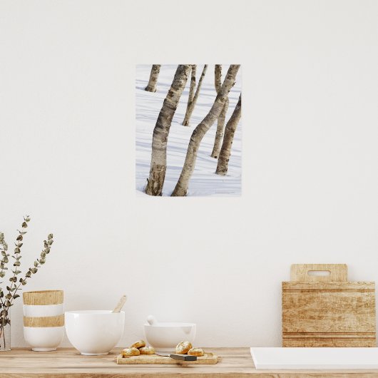 雪の多い風景の中のシルバー樺の木の木 ポスター (キッチン)