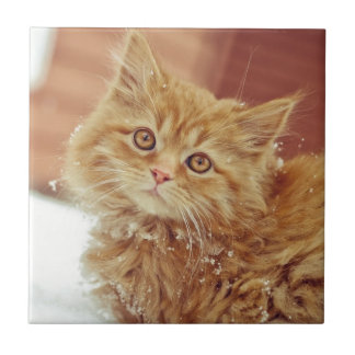 雪の子ネコ タイル