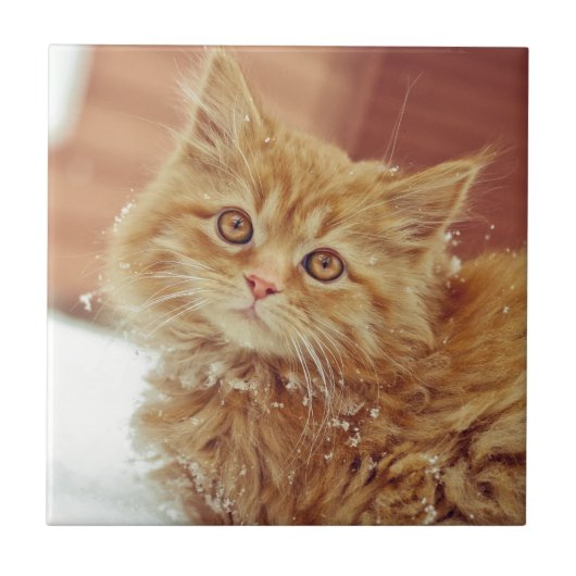 雪の子ネコ タイル (正面)