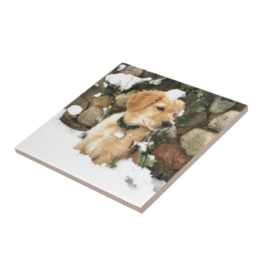 雪の子犬の屋外の素朴な写真 タイル (側面)