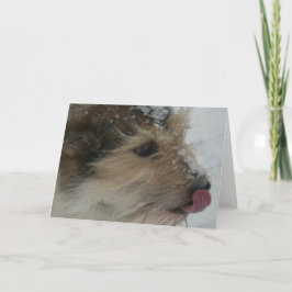 雪の子犬 カード