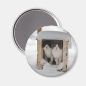 雪の子猫 マグネット (正面/裏面)