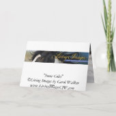 雪の子馬ワイルドホースグリーティングカード カード (裏面)