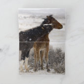 雪の子馬ワイルドホースグリーティングカード カード (内部)