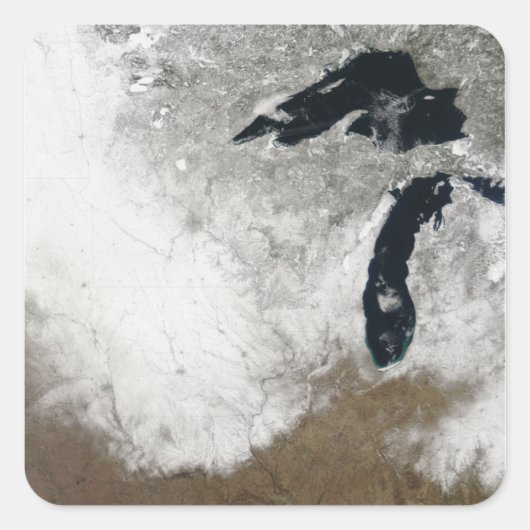 雪の実色像 スクエアシール (正面)