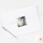 雪の実色像 スクエアシール (封筒)