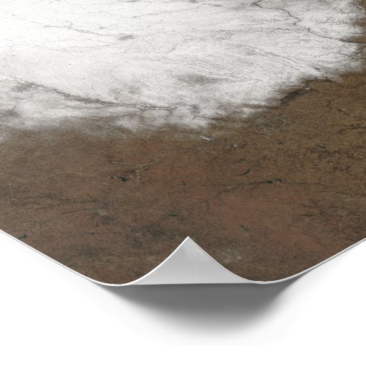 雪の実色像 ポスター (角)