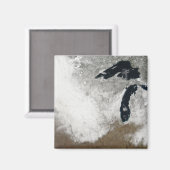 雪の実色像 マグネット (正面/裏面)