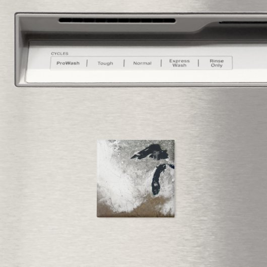 雪の実色像 マグネット (インサイチュ (食洗機))