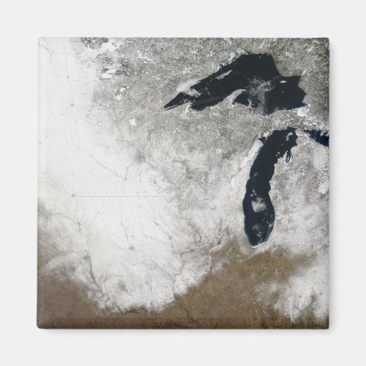 雪の実色像 マグネット (正面)