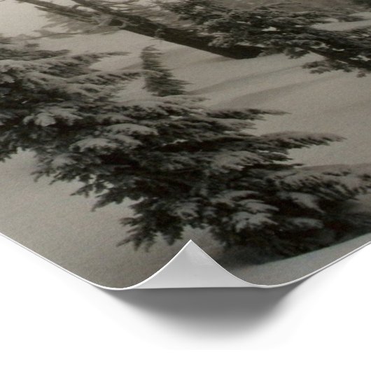 雪の山と木 ポスター (角)