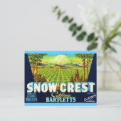雪の山 ポストカード (スタンド正面)
