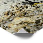 雪の岩の上に緑 ポスター (角)