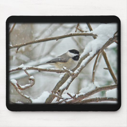 雪の嵐で黒帽をかぶった《鳥》アメリカゴガラ マウスパッド (正面)
