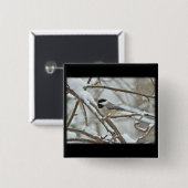 雪の嵐で黒帽をかぶった《鳥》アメリカゴガラ 缶バッジ (正面&裏面)