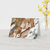雪の嵐の中のスズメのクリスマスグリーティングカード カード (黄色い花)