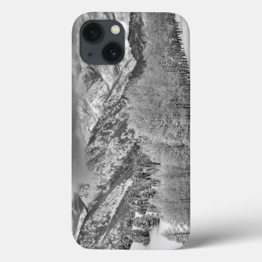 雪の嵐の中の常緑樹と《植物》アスペンの木 Case-Mate iPhoneケース (裏面)