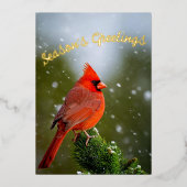 雪の常緑樹の季節の挨拶(鳥)ショウジョウコウカンチョウ 箔シーズンカード (正面)