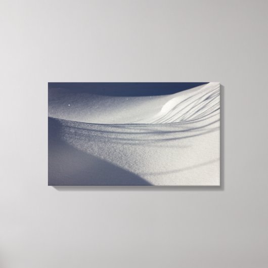 雪の影CC0099 キャンバスプリント (正面)