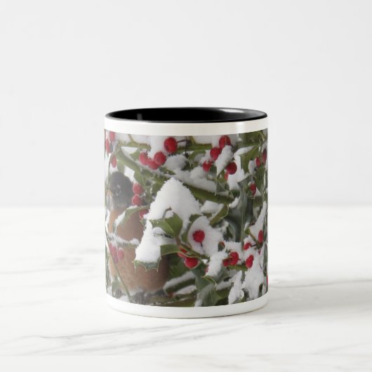 雪の後にヒイラギの木に避難するロビン ツートーンマグカップ (中央)