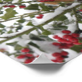 雪の後にヒイラギの木に避難するロビン ポスター (角)