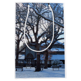 雪の後のタバナクル朝 – Martha's Vineyard ミディアムペーパーバッグ