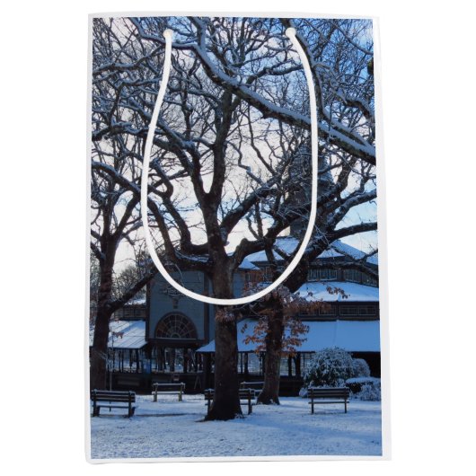 雪の後のタバナクル朝 – Martha's Vineyard ミディアムペーパーバッグ (正面)