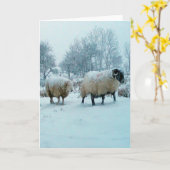 雪の情景にある冬の羊 - カスタマイズ可能 カード (黄色い花)