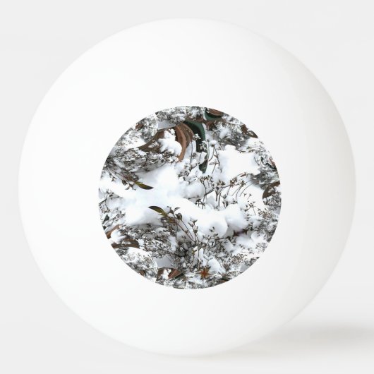 雪の抽象芸術 卓球ボール (正面)