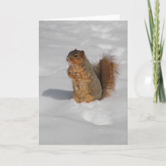 雪の挨拶状のリス カード (正面)