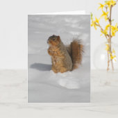 雪の挨拶状のリス カード (黄色い花)