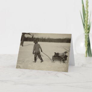 雪の挨拶状の鶏 カード