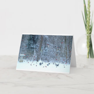 雪の挨拶状の（鳥）ショウジョウコウカンチョウ カード