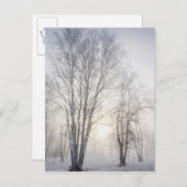 雪の日に白い木を ポストカード (正面/裏面)