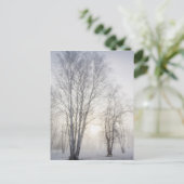 雪の日に白い木を ポストカード (スタンド正面)