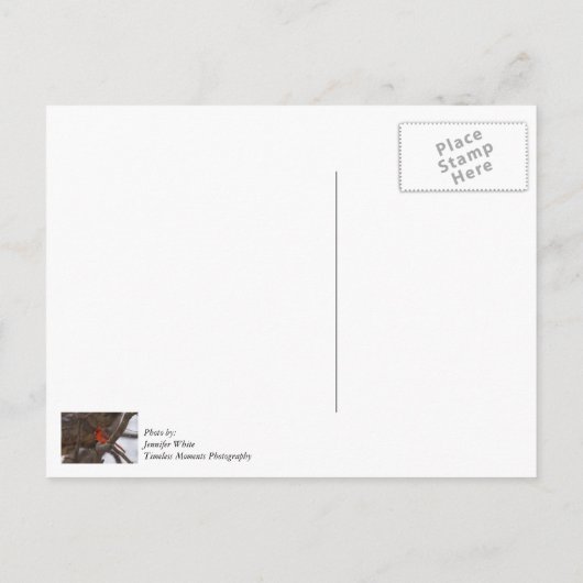 雪の日のカーディナル感謝のポストカード ポストカード (裏面)