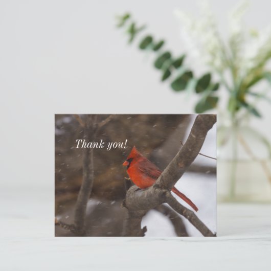 雪の日のカーディナル感謝のポストカード ポストカード (スタンド正面)