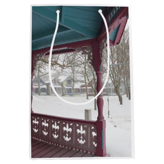 雪の日のポーチビュー – マーサのブドウ畑 ミディアムペーパーバッグ (正面)